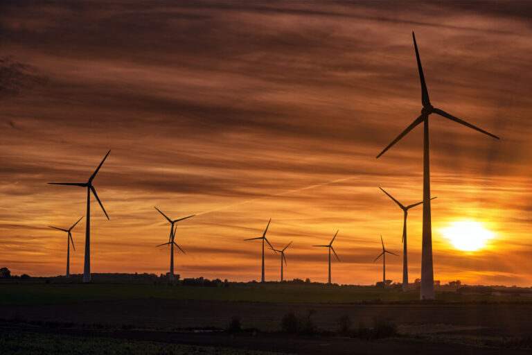 Hvad koster en kWh?